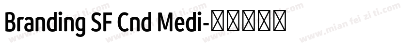 Branding SF Cnd Medi字体转换